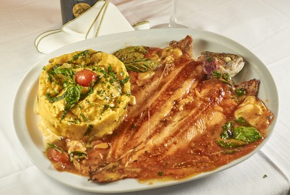 Plato 8